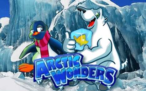 Artic Wonders